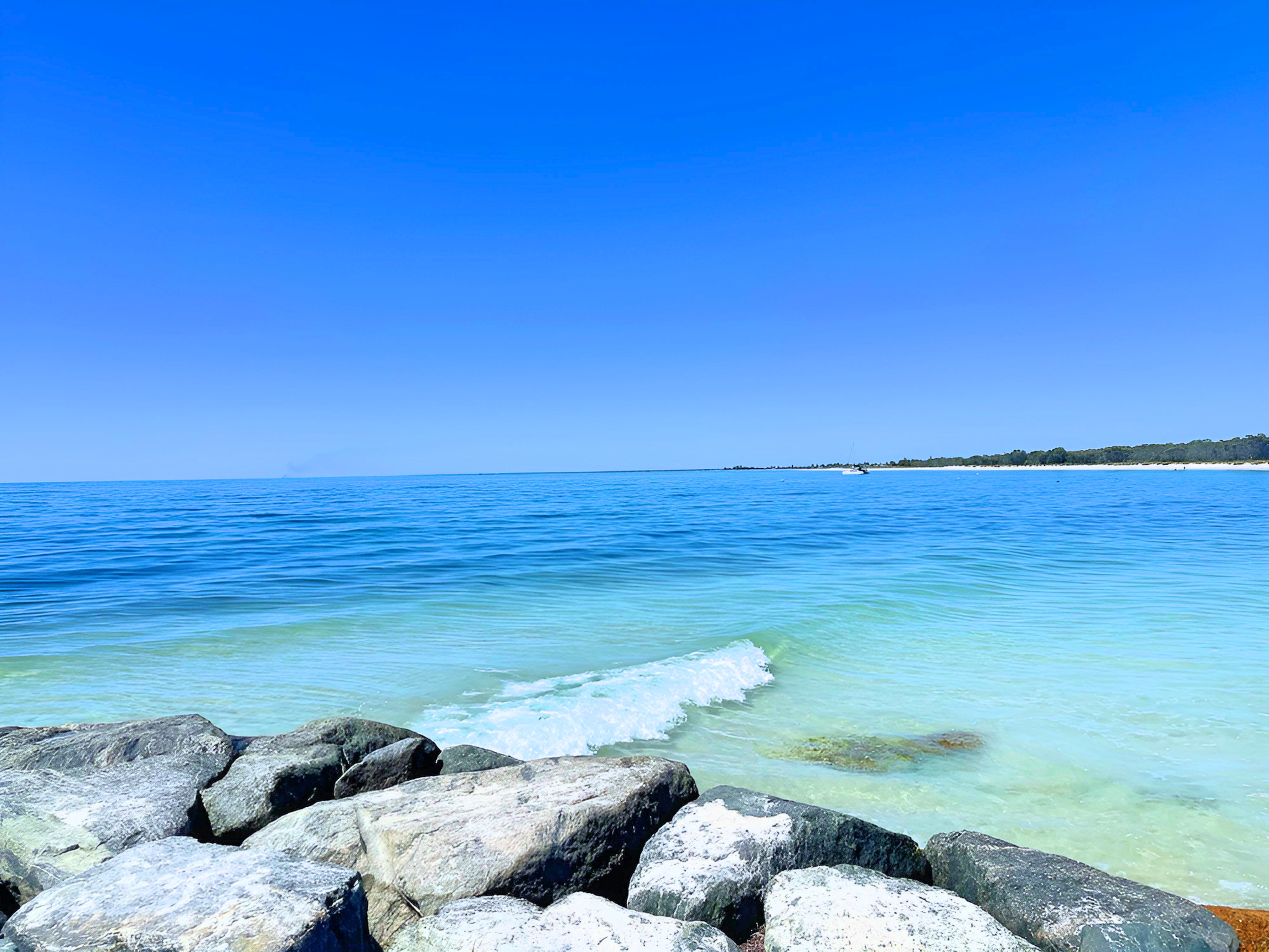 disability support worker